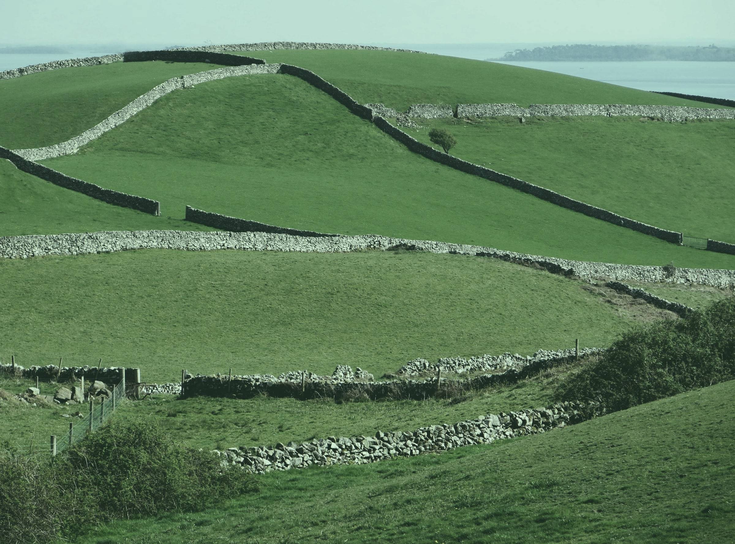 Green fields divided by dry-stone walls in the west of Ireland
