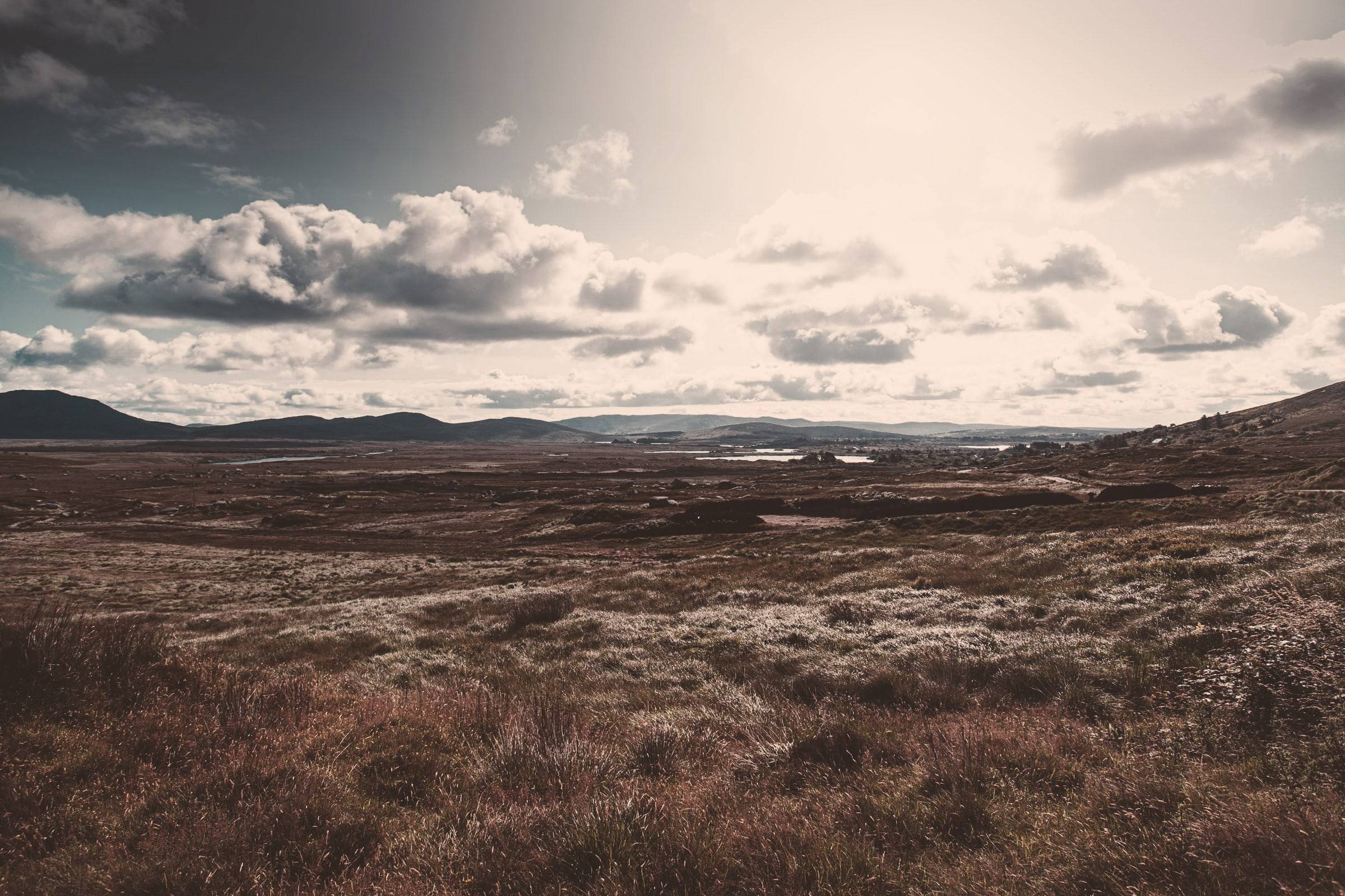 Open bogland and heather stretching to distant hills